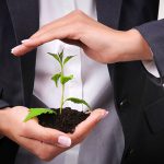 Protecting your plants is critical during the import process.