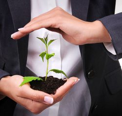 Protecting your plants is critical during the import process.