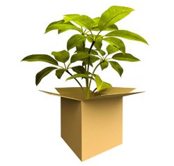 Importing plants and plant products into the U.S. is fairly common.
