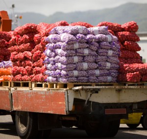 harmonized tariff schedule classification for imported food