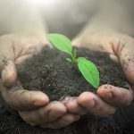 Protecting plants and wildlife
