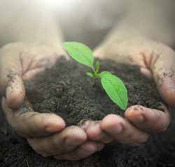 Protecting plants and wildlife
