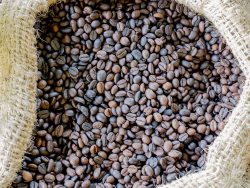 imported coffee