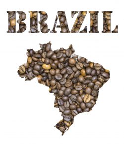 imported coffee
