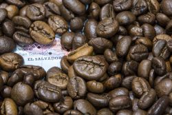 imported coffee