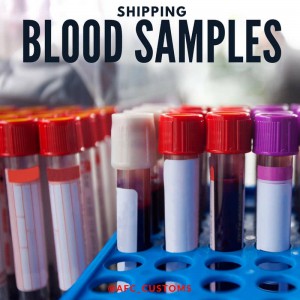 BLOOD SAMPLES-min